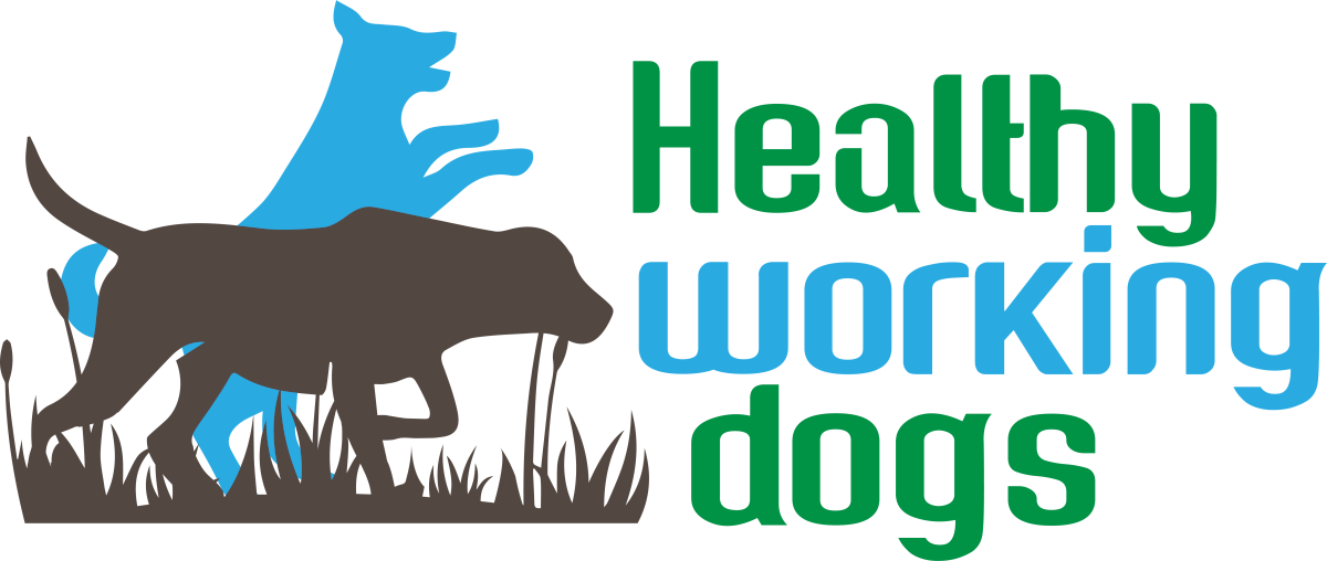 Healthy Working Dogs